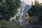 three red-white dogs against the backdrop of mountains in the park. Pet in the forest.