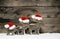 Three reindeer wearing santa hats on brown wooden background.