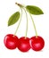 Three ripe cherries with leaf. Vector.