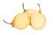 Three ripe Chinese pears (isolated)