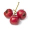 Three ripe fresh red hawthorne berries close up on white background