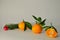 Three ripe juicy tangerines, a branch of spruce and Christmas tree toy on a white background.