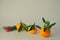 Three ripe juicy tangerines, a branch of spruce and Christmas tree toy on a white background.