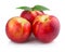 Three ripe peach (nectarine) fruits