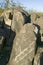 Three Rivers Petroglyph National Site, a (BLM) Bureau of Land Management Site, features an image of an Eagle head, one of more