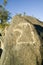 Three Rivers Petroglyph National Site, a (BLM) Bureau of Land Management Site, features an image of an Eagle head, one of more