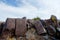 Three Rivers Petroglyph Site