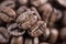 Three roasted coffee beans close up. Blurred coffee bean background. Top view