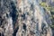 Three Rock climbers on Railay cliff, Krabi Thailand