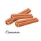 Three rolled sticks of cinnamon. Aromatic spice. Condiment for dishes. Detailed cartoon vector illustration isolated on