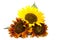 Three romantic colorful sunflowers