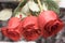 Three roses. Red Rose give flowers. Valentine`s day