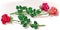 Three roses with their stem and leaves,