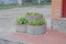 Three round concrete brown flowerpots with green ornamental plants stand on the sidewalk