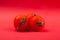 Three round small juicy tomatoes on a red background close-up
