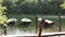 Three rowing boats moored side by side on the shore of a lake