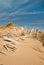 Three rows of broken fence on sand dunes vertical