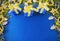 Three royal blue gift boxes tied with yellow ribbon on royal blue background