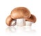 Three Royal Brown champignons close-up isolated on a white background