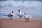 Three Royal Terns... one makes eye contact.  Ormond Beach, Florida