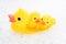 Three rubber ducks in foam water