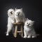 Three Sacred Birman kittens on and around a wooden stool isolated on black background facing the camera