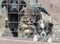 three sad mongrel puppies in a cage