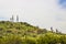 Three Saguaro Cactus On Top Of Desert Hillside