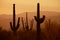 Three saguaro silhouettes with mountains in background during sunset