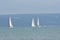 Three sailboats in coastal waters