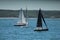 three sailboats off coast of Martha\'s Vineyard (Oak Bluffs)