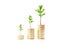 Three sapling trees growing on ascending coin stacks on white backgroud