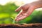 Three saplings are growing on the soil and a natural green background