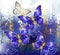 Three sapphire butterflies on multicolor background