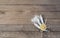 Three sardines wrapped with lemon on wooden table