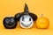 Three scary Halloween Jack o Lanterns side by side over yellow background. Halloween background.