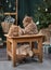 Three Scottish Folds in holiday spirit. Studio capture of playful cats with Christmas tree backdrop