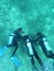 three scuba divers under water. Divers at the bottom of the sea dive