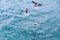 Three sea gulls over the ocean