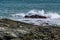 Three Sea Gulls on the Rocky Coast of Rhode Island