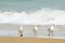 Three seagulls walking in water of surf beach