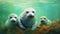 Three seals swimming in the ocean with some algae, AI