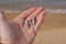 Three seashells in hand at beach