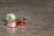 Three sewing machine bobbins with green pink and red thread