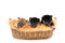 Three Shiba Inu in the basket on white background. Shiba Inu, black and tan, brown. Shiba Inu is a Japanese dog that is famous all