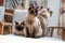 Three Siamese cats on a chair