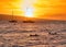 Three silhouetted surfers at sunset on Maui.