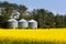 Three silos canola rapeseed agriculture field