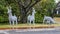 Three silver reindeer figures in a Christmas display in Dallas, Texas
