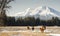 Three Sisters Horse Ranch Homestead Mountain Snow